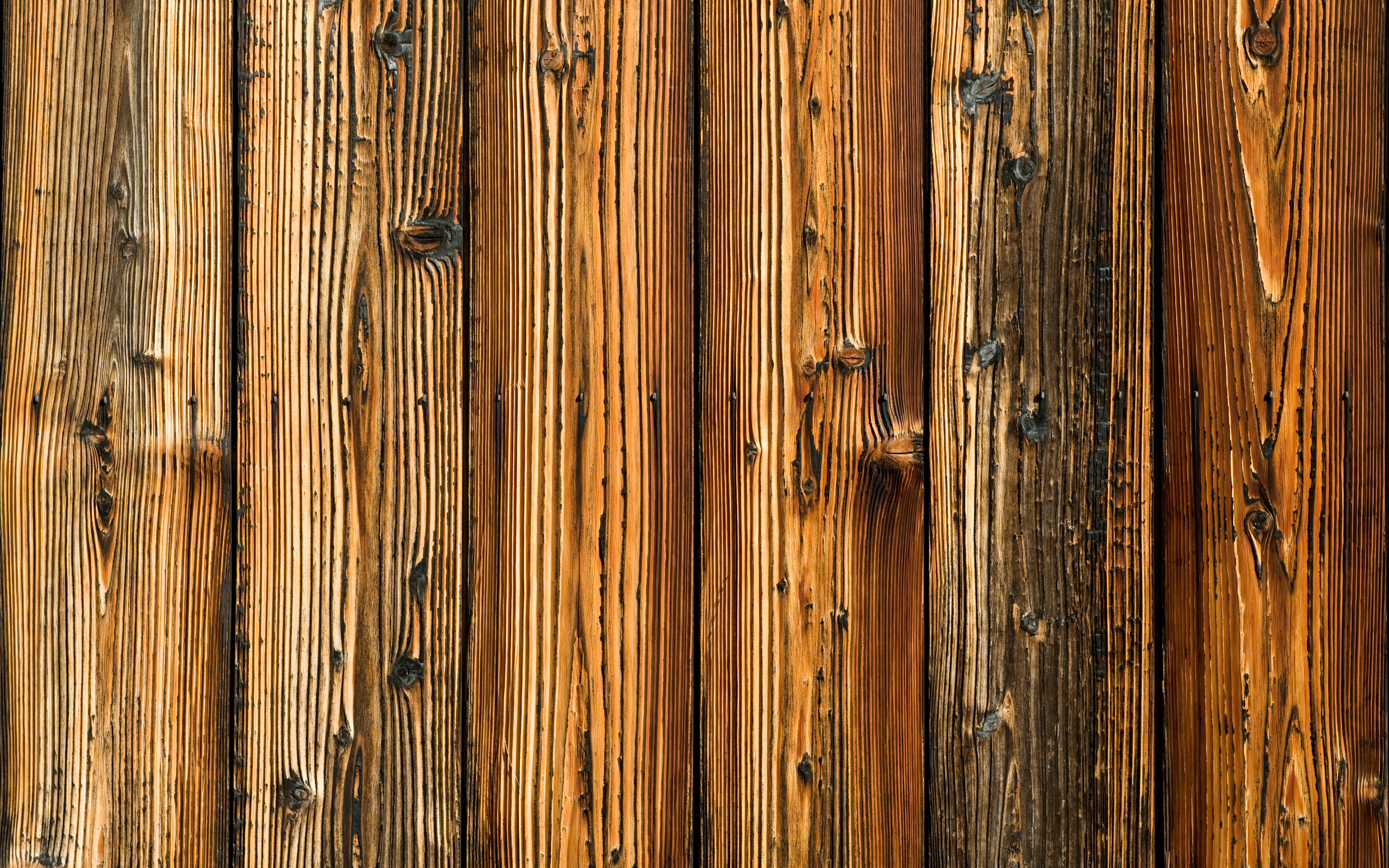    2560x1600 ::  1
